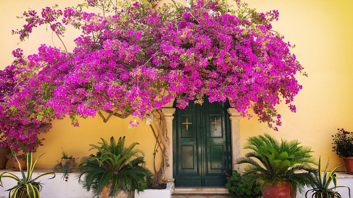 Korfu - popularne miejsce podróży